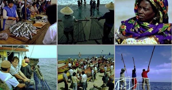Les vêtements sur la pêche Internet le magasin